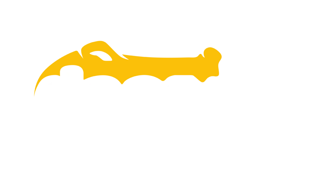 Da Cá Sấu Thật 100% | DACASA