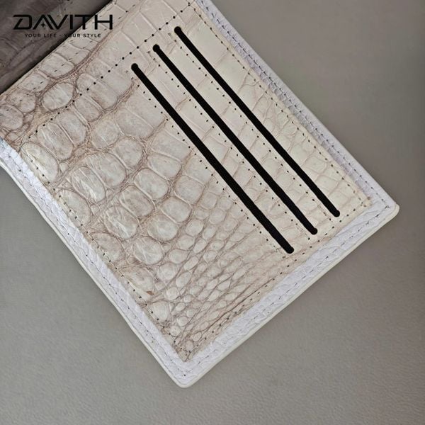 z7348212494621_48069c8bbc45c631ce99f8b96e26f683_grande